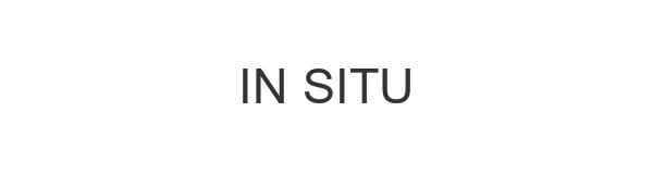 in situ network